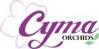 Cyma Logo